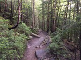 Sentier des loups